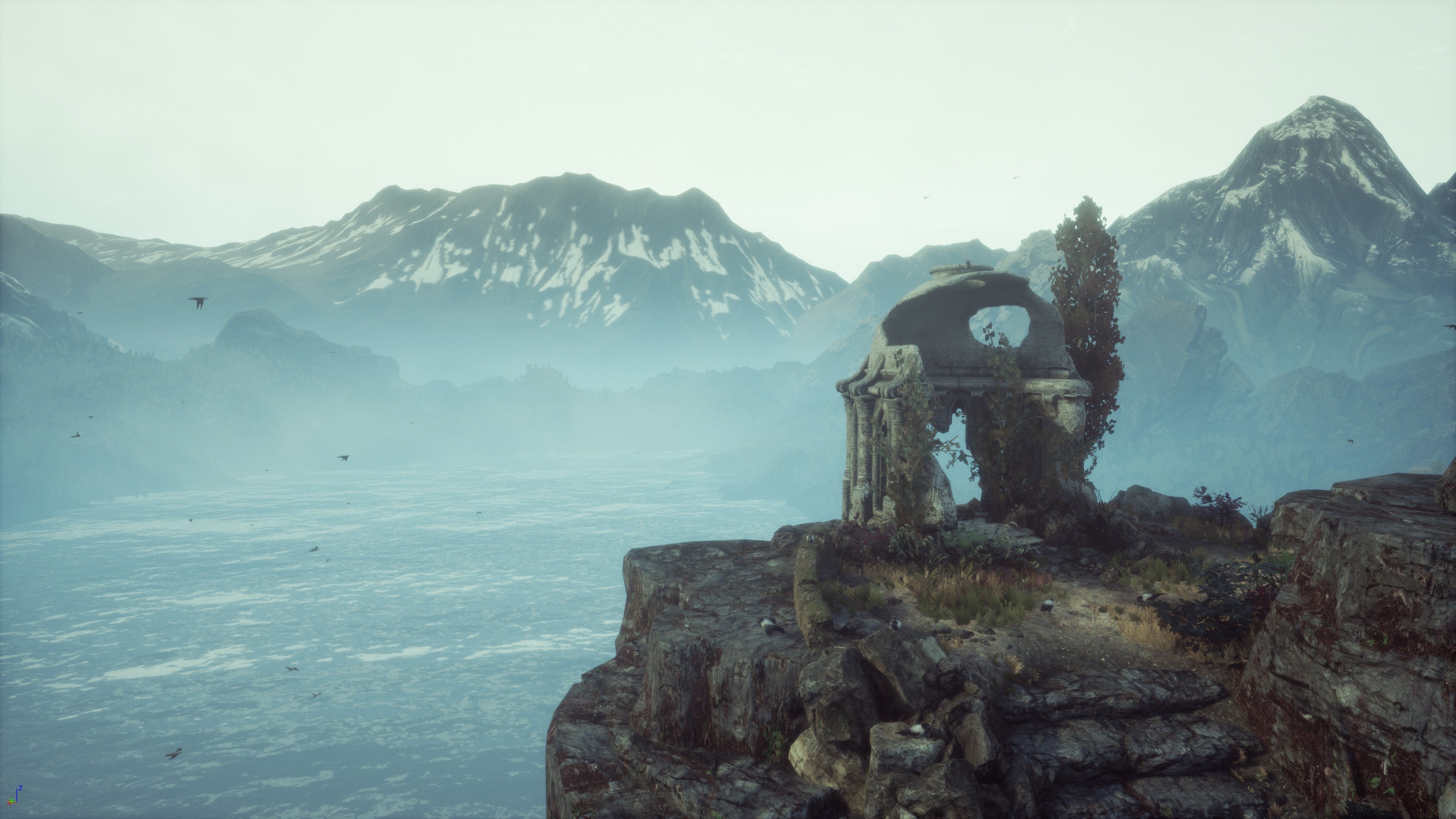 The Dead Tree of Ranchiuna - Imagen 4